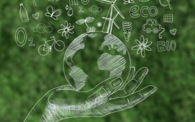 Qué es la sustentabilidad